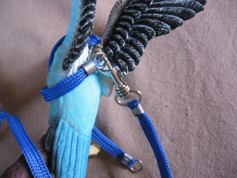 budgie harness