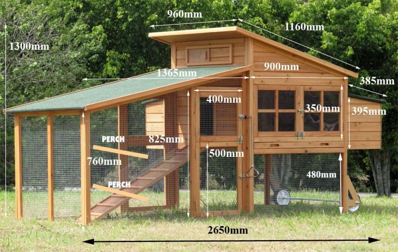 MODEL G19. 6-9 MED HEN. Extra Large Chicken Coop Hen house ...