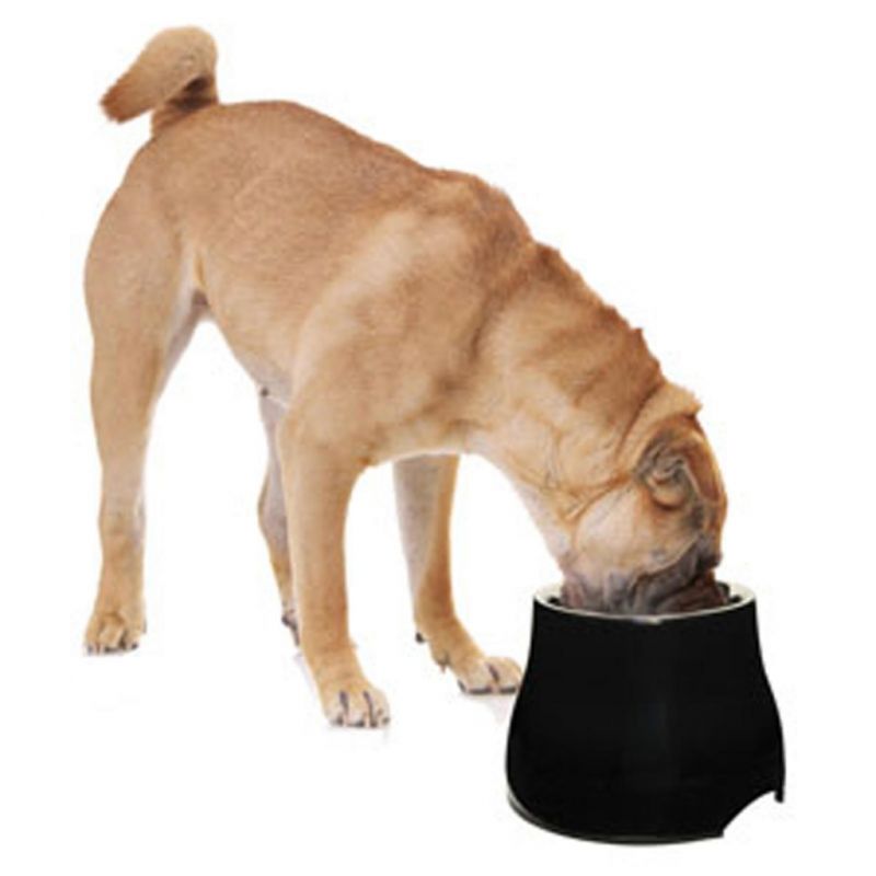 Dogit Elevated Dog Bowl Dish Raised Food Water Large Older Dogs 900ml 17cm  Tall